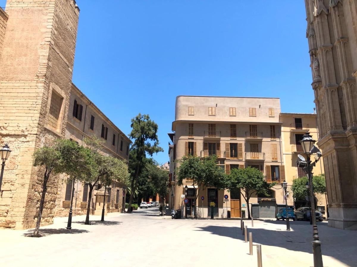 Damunt 3* Palma