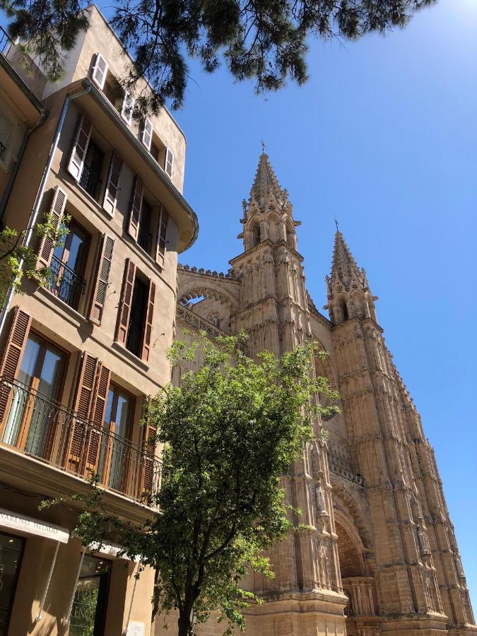 Damunt Hotell